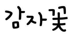 감자꽃