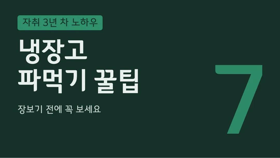 정선 동강체 활용 예시 - 영상 썸네일
