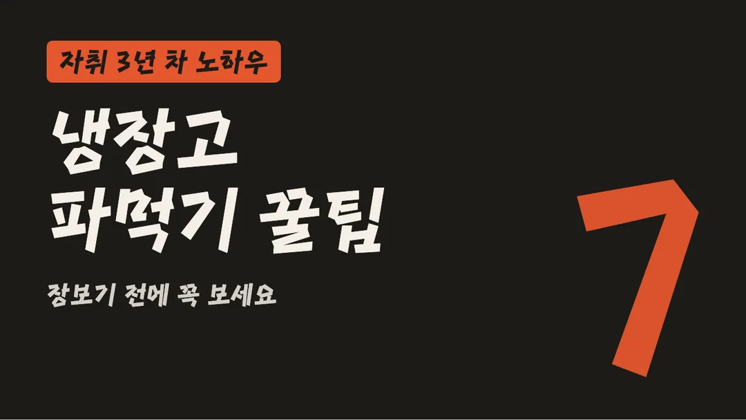 Mapo 홍대프리덤 활용 예시 - 영상 썸네일