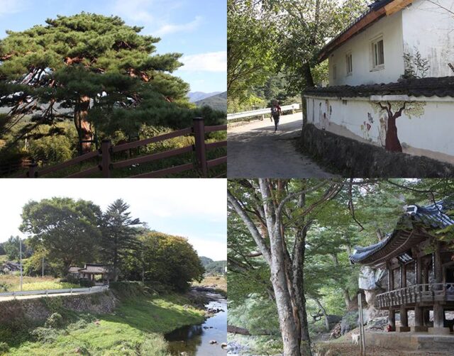 ‘마음은 부자’ 되는 소박한 산골 여행, 지리산둘레길 남원 월평마을-매동마을